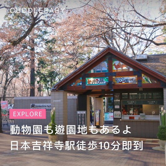 【日本親子景點】日本吉祥寺駅徒歩10分即到動物園 - 井之頭自然文化園