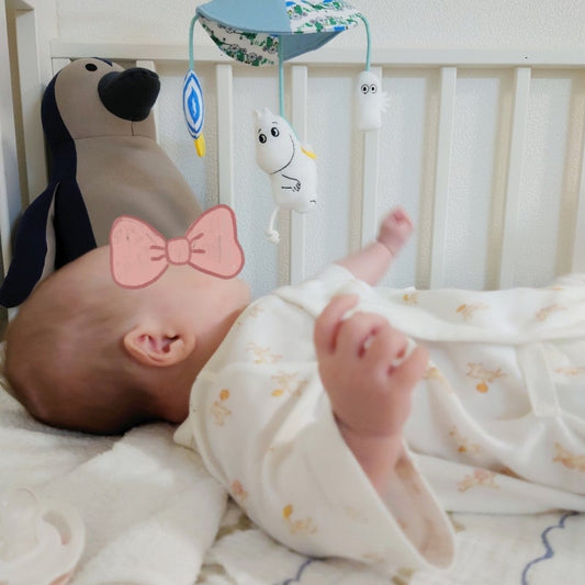 Moomin 嬰兒車夾掛玩具