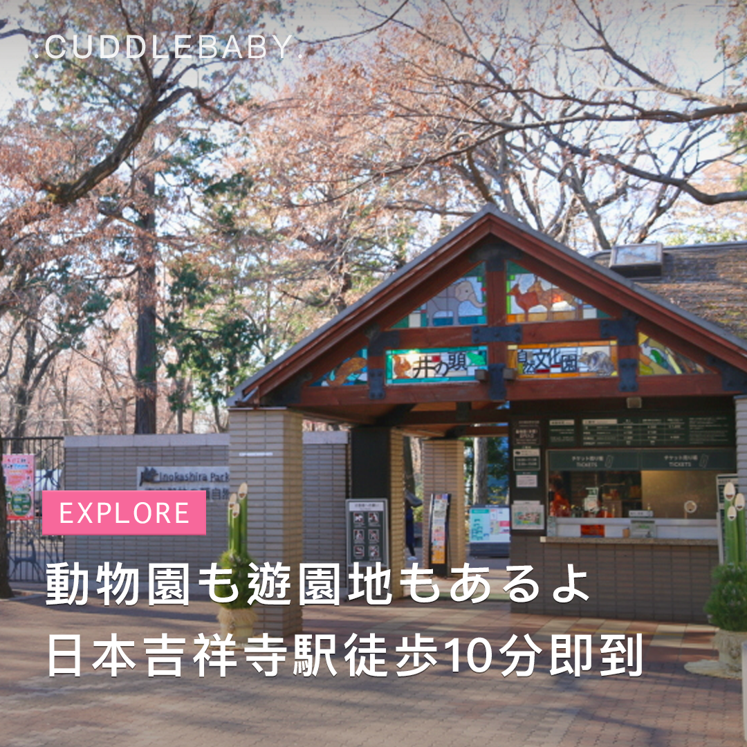 【日本親子景點】日本吉祥寺駅徒歩10分即到動物園  - 井之頭自然文化園