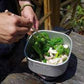 日本Yazawa 旅行煮食煲套裝