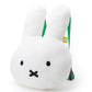 超可最新 Miffy🐰/ Boris Bear / 梨公仔車用抱枕